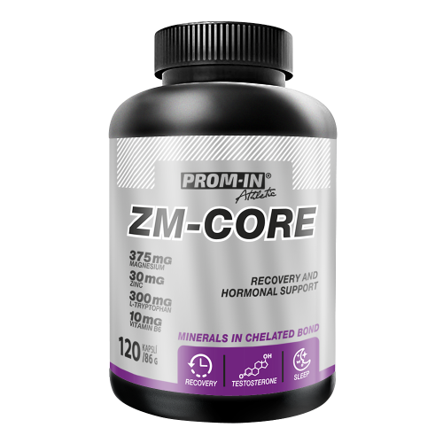 ZM-CORE